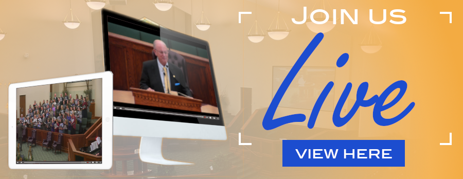 View LiveStream